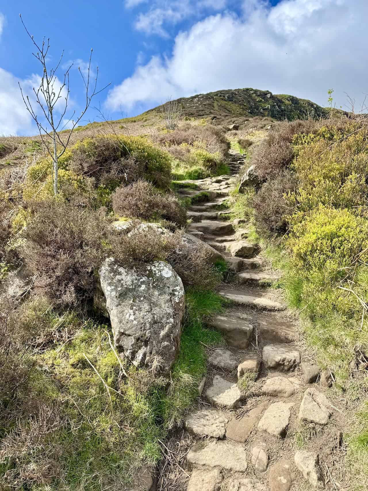 The steps leading up the side of Kirby Bank to reach the top of Cringle Moor. Kirby Bank is the northern-facing side of Cringle Moor. We continue our journey on the Cleveland Way.
