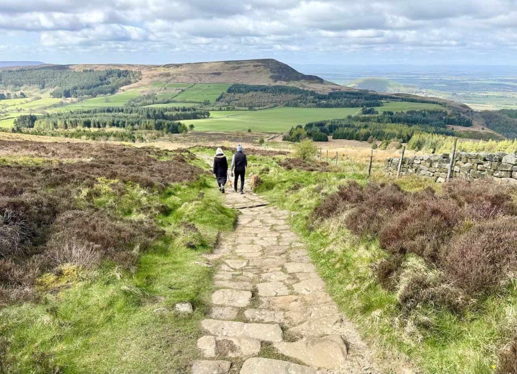 Lordstones Walk: Experience Wainstones and Cringle Moor Views.
Monday 26 August 2024.
North York Moors.
11 miles.