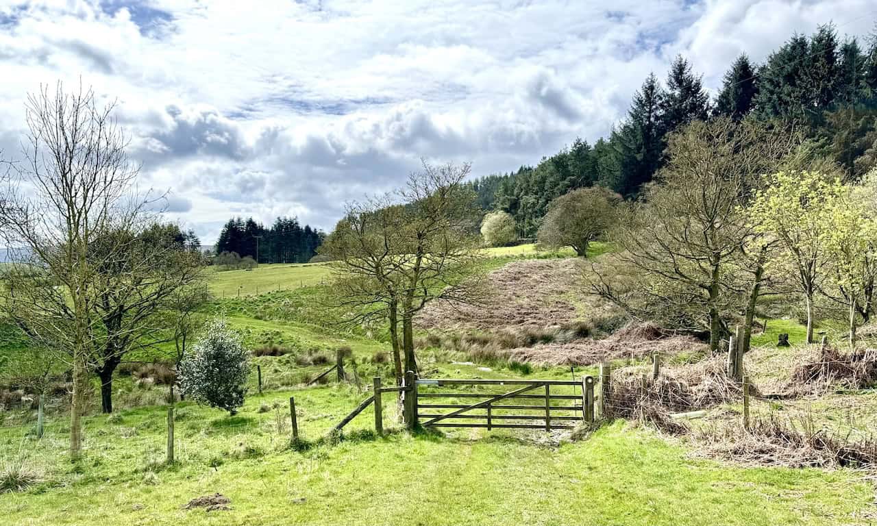 South of Lordstones, we traverse the public footpath across fields from Thwaites House towards Staindale in the valley known as Raisdale. While some areas of this stretch can be slightly boggy, the path is predominantly dry.