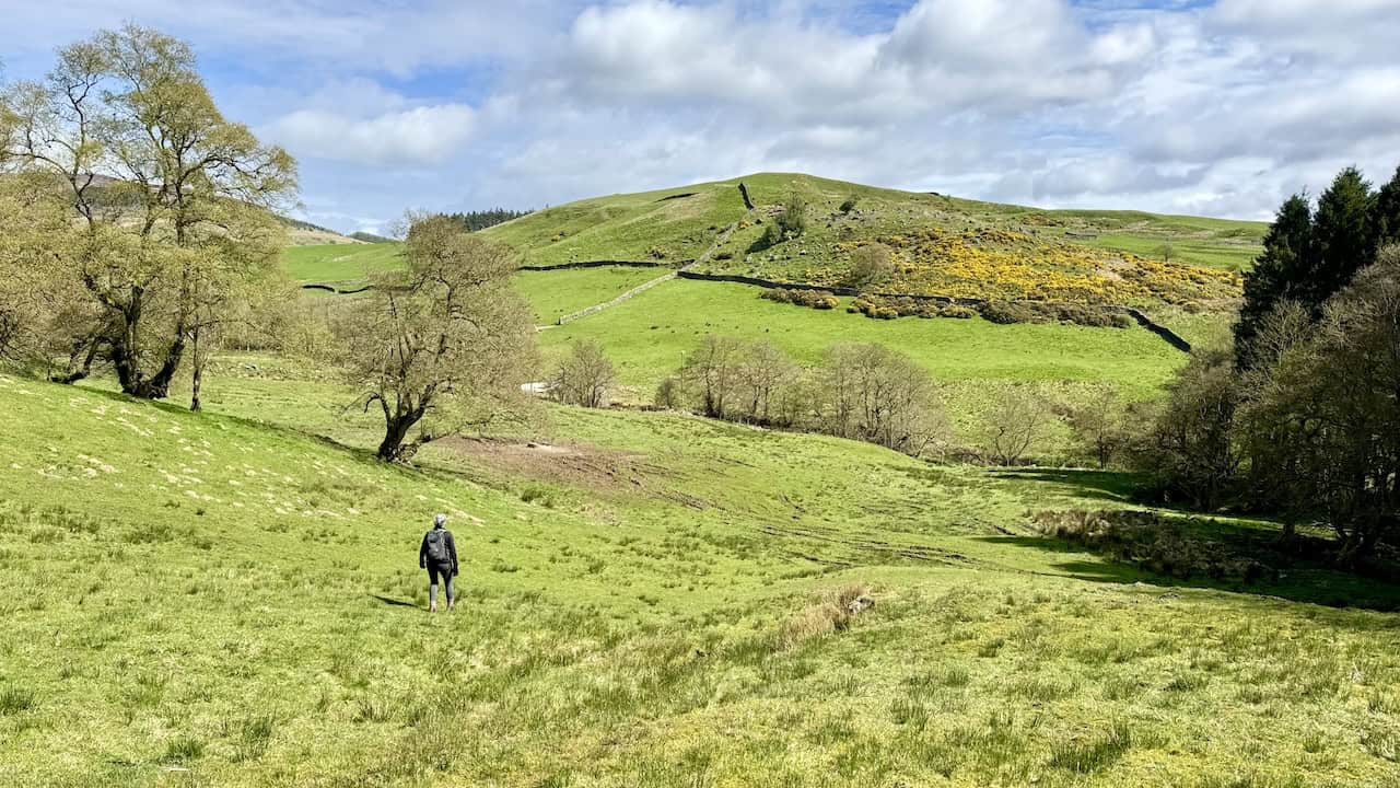 The view north-east towards Wath Hill as we descend to Raisdale Mill Plantation. A public footpath across the top of the hill invites exploration on another occasion.