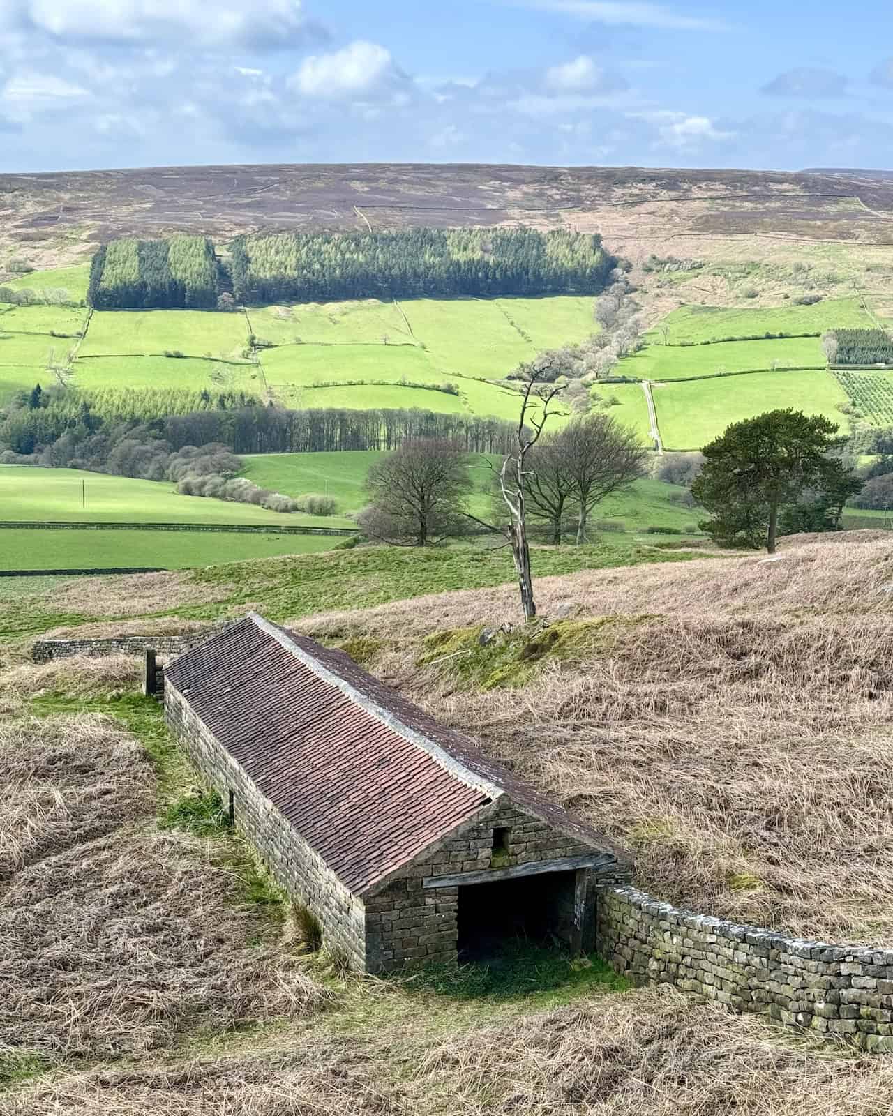 Excellent views west across the Bilsdale valley towards Cold Moor from the location of an old barn near Medd Crag.