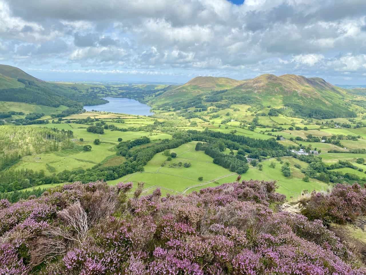 The ascent is difficult but the views during our Mellbreak walk are breathtaking. Looking north-west, Loweswater is surrounded by Low Fell, Darling Fell, Carling Knott and Burnbank, with the Solway Firth in the far distance.