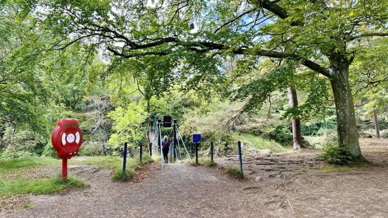 High Force Walk: Circular Including Low Force and Bleabeck Force