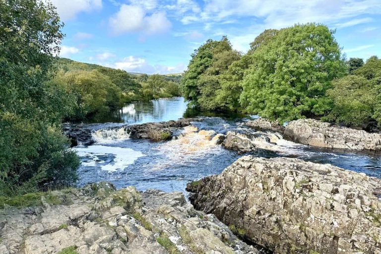 High Force Walk: Circular Including Low Force and Bleabeck Force