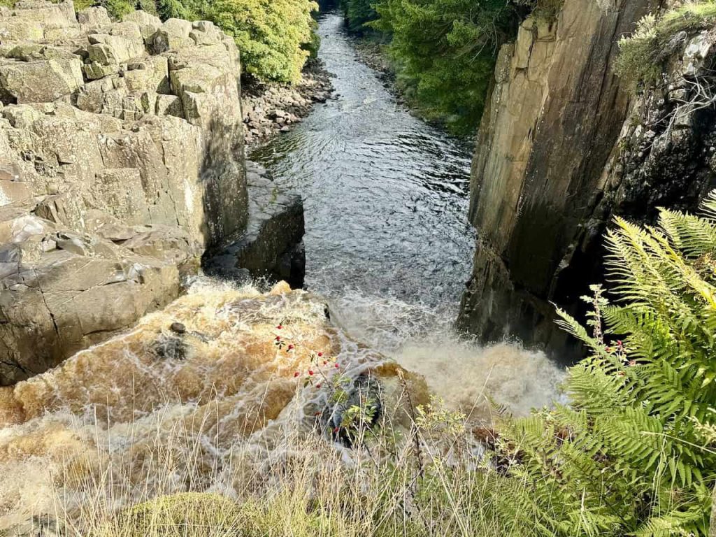 High Force Walk: Circular Including Low Force and Bleabeck Force