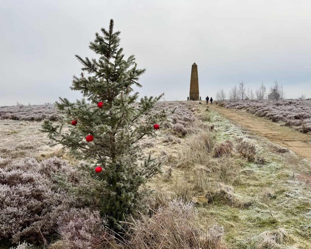 Roseberry Topping Walk: Trail Featuring Captain Cook’s Monument