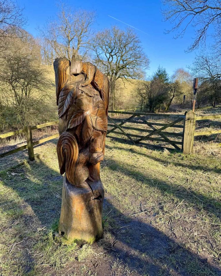guisborough-forest-walk-scenic-route-roseberry-topping-option