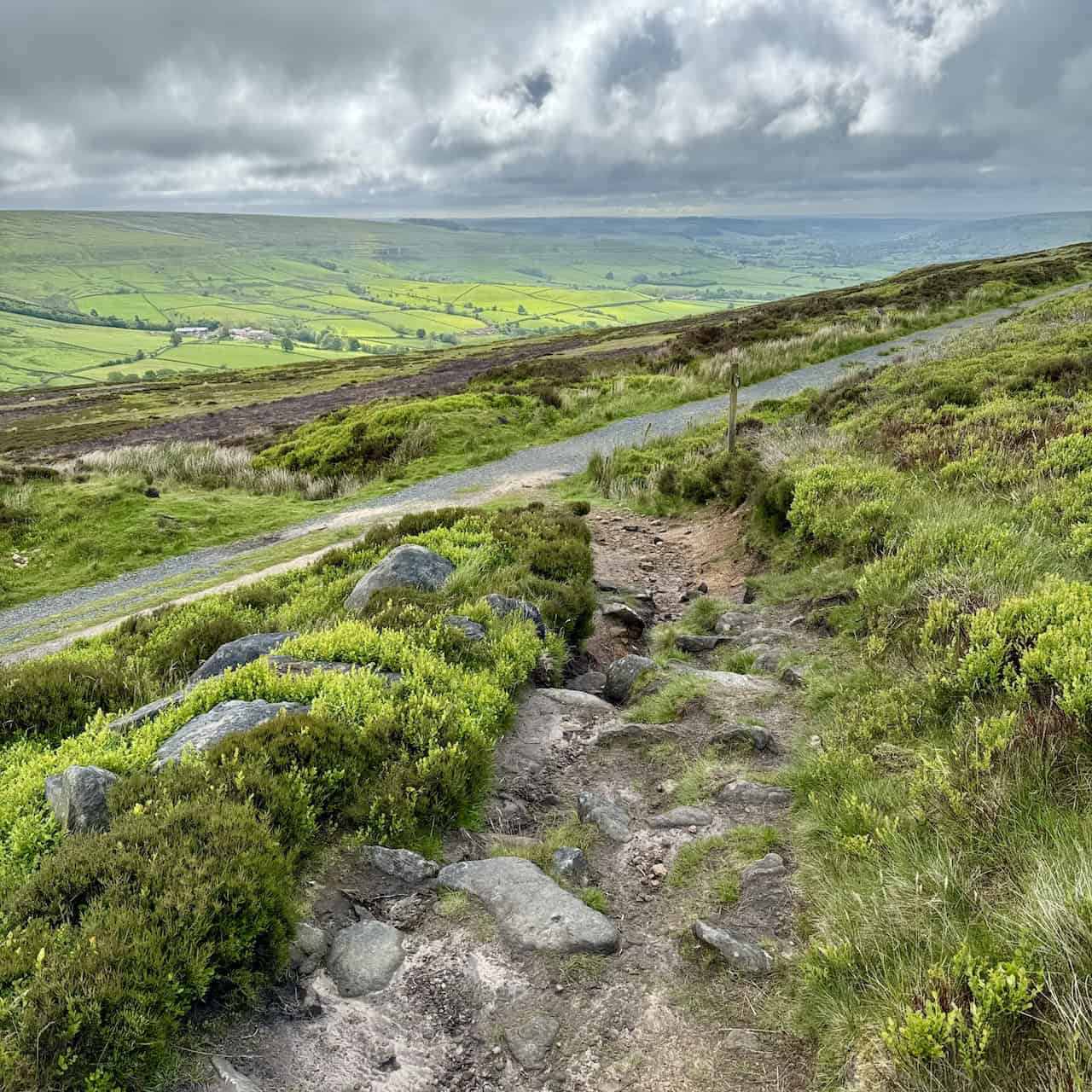 A high-moor circuit on Blakey Ridge with Rosedale views and an easy return on the old railway, classic North Yorkshire walks.