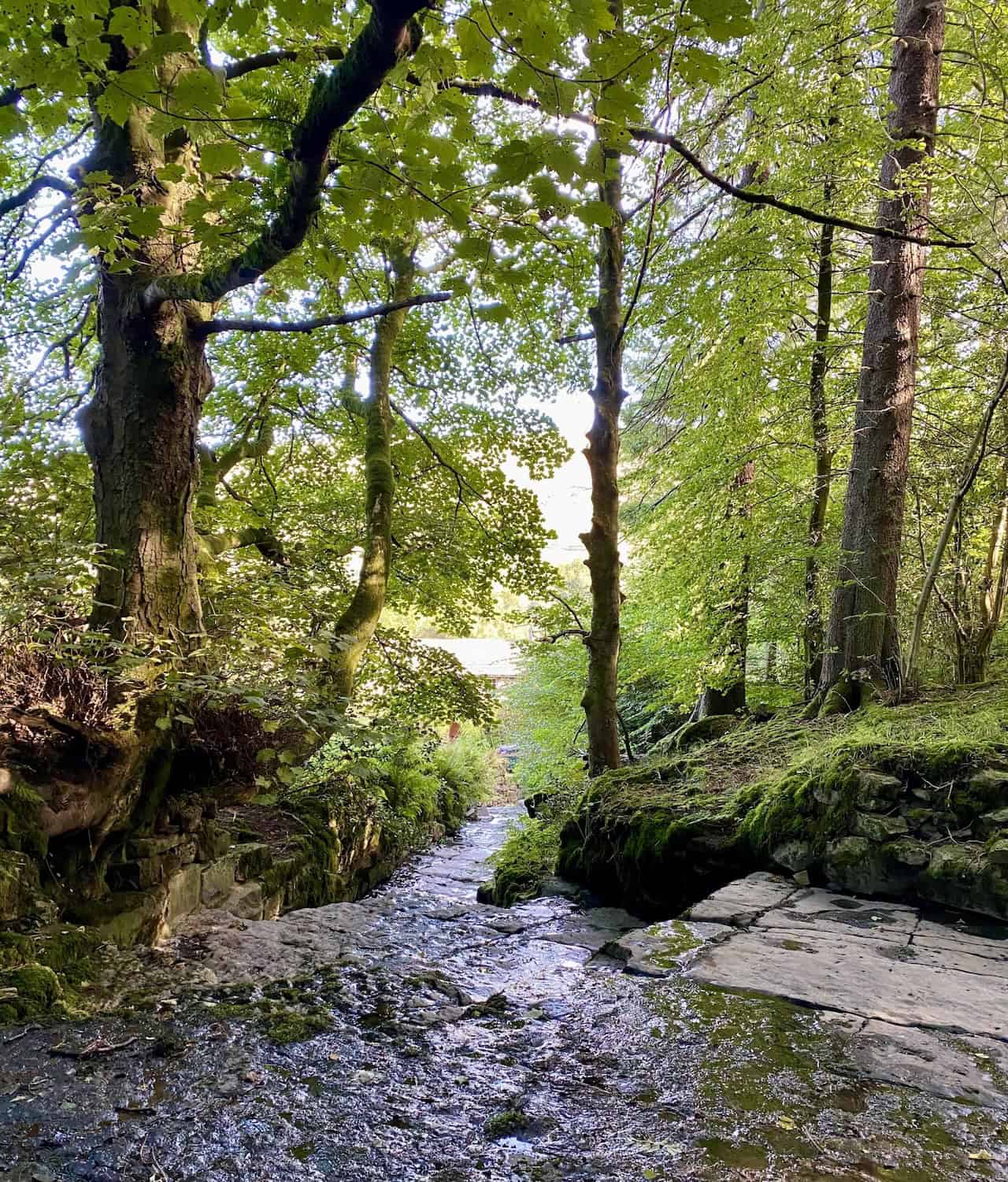 A Dentdale circuit combining the Flinter Gill climb with quiet valley paths and village heritage.