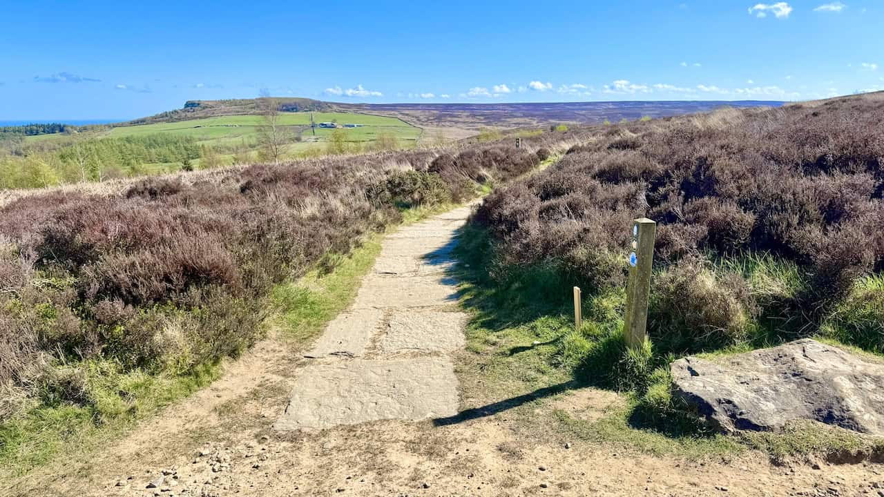 A woodland and moor-edge circuit above Guisborough with steady climbs and a Highcliff Nab viewpoint.