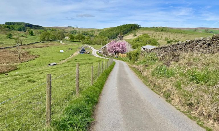 A Nidderdale route mixing the Nidderdale Way, lead-mining remains and riverside sections, ideal within North Yorkshire walks.