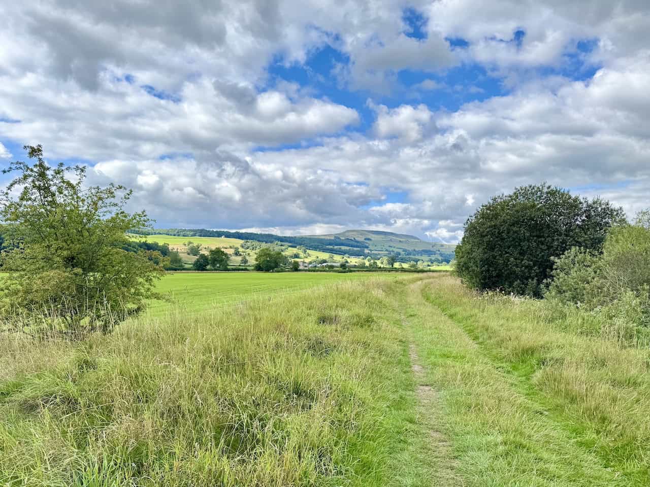 The riverside path near Penhill is a scenic part of the Tupgill Park walk.
