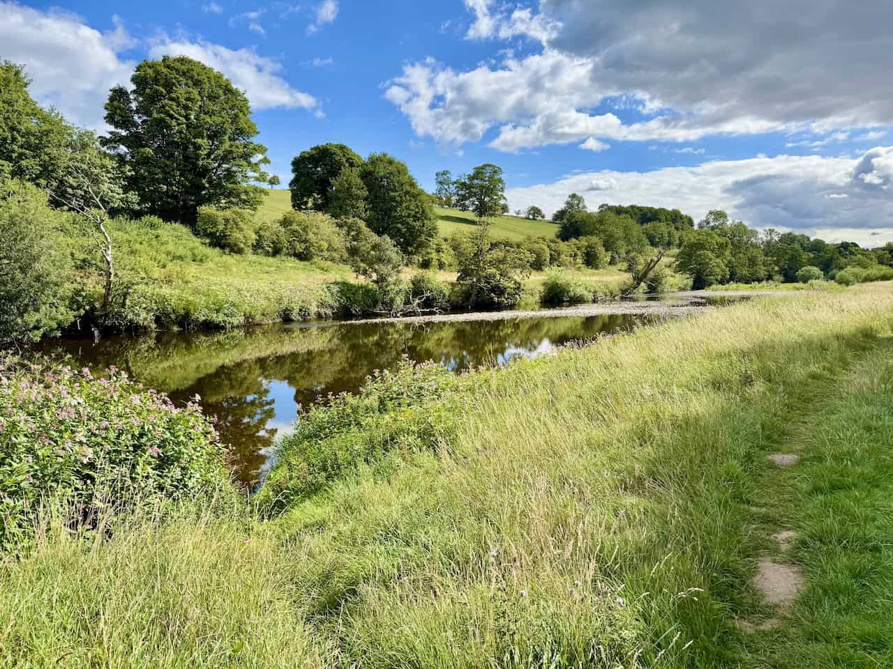 A hedgerow opens to reveal the calm waters of the River Ure and a grassy riverside trail.
