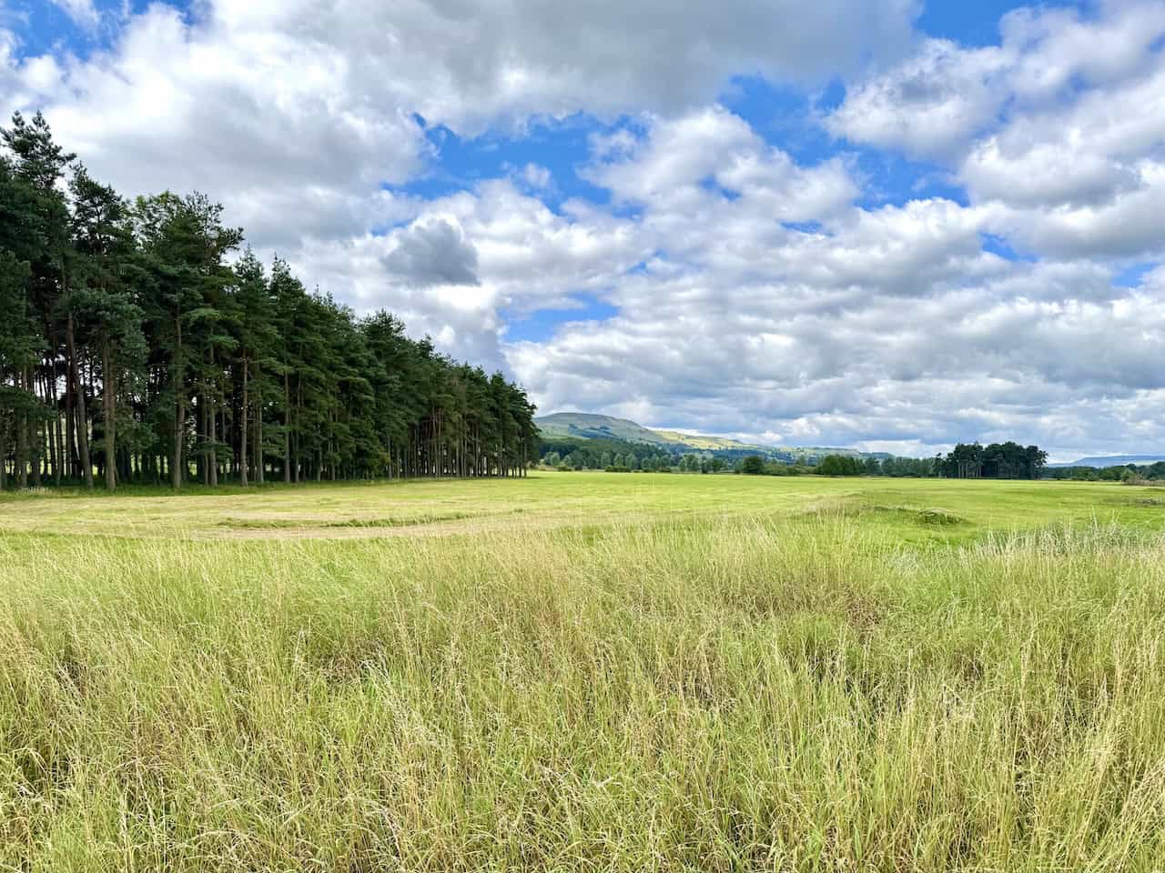 Penhill rises beyond the trees and fields near a quiet area known as The Wishings.
