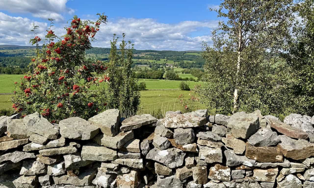 A field path provides views of Bolton Hall tucked into the Wensleydale landscape.
