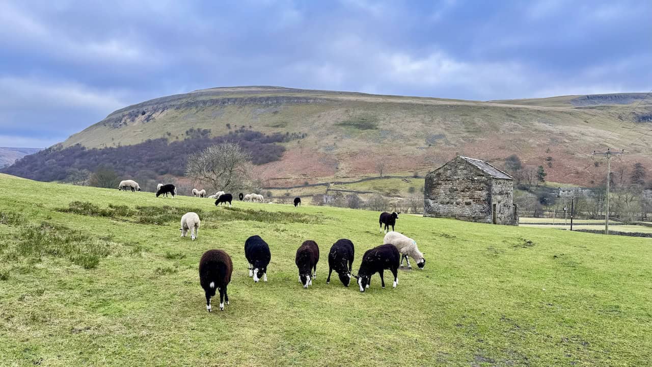 BBC Winter Walks.