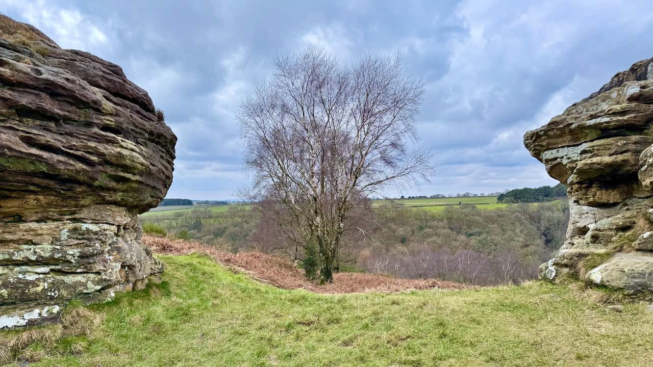 Weathered sandstone at the Low Bride Stones in the Bridestones Nature Reserve, part of North Yorkshire walking routes.