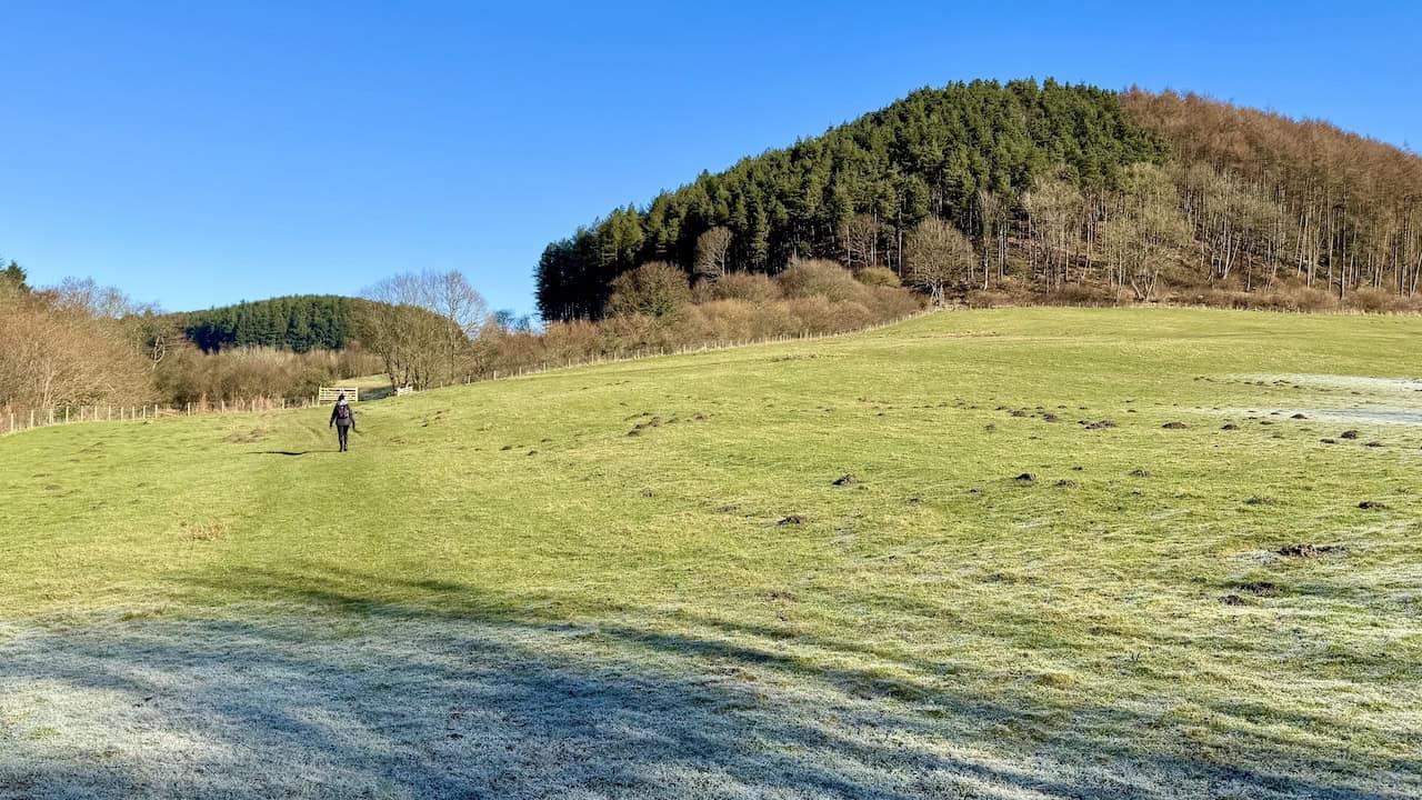 Whisper Dales bridleway above Hackness with rolling pasture and mixed woodland.