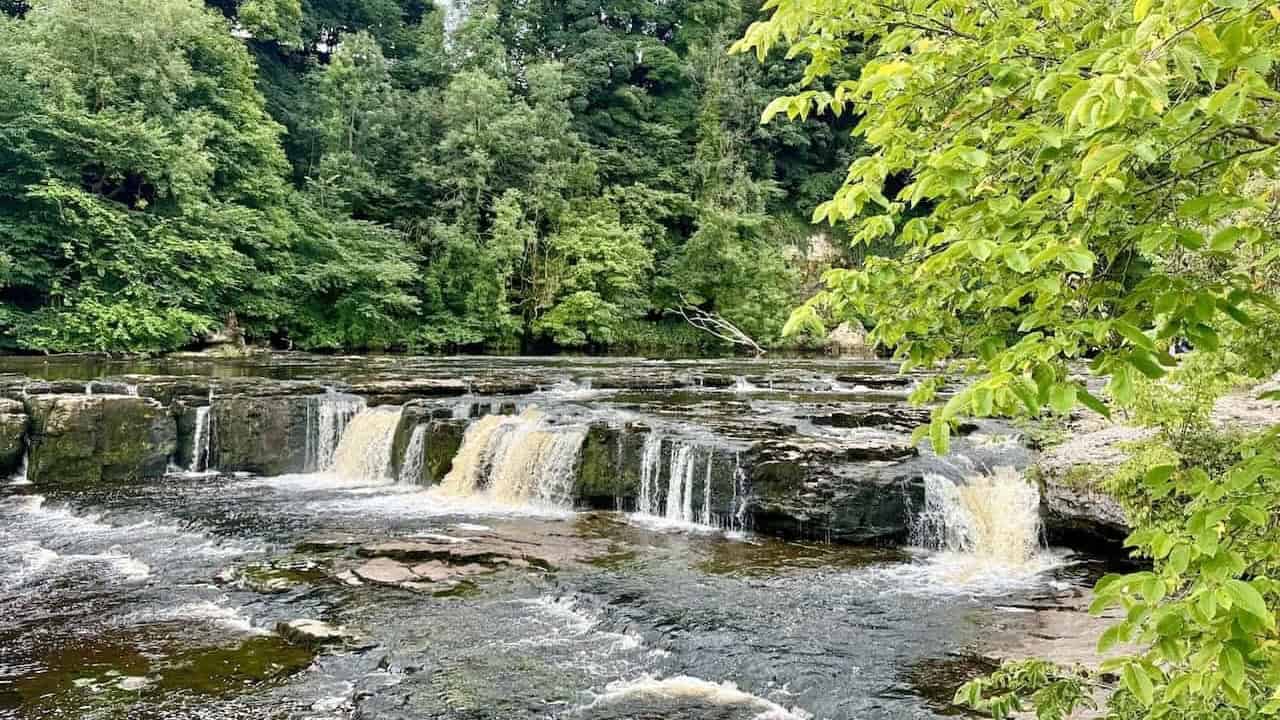 Stepped cascades and riverside paths at Aysgarth Falls on the Aysgarth Falls walk, a classic North Yorkshire circular walks route.