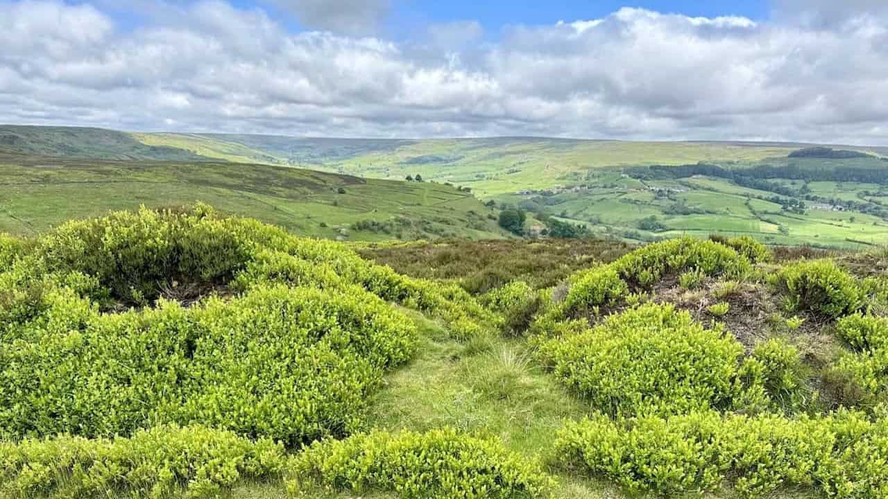 Wide views across Rosedale valley on the Blakey Ridge walk in the North York Moors.