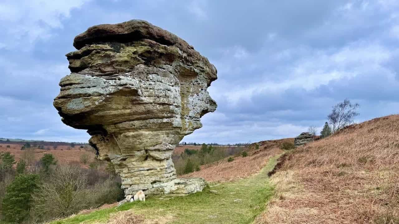Weathered sandstone formations at the Bridestones on the Bridestones walk, one of North Yorkshire circular walks.