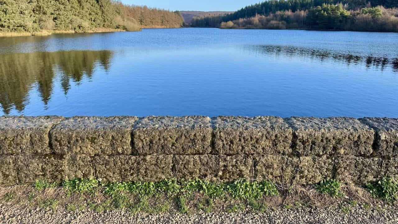 Woodland and reservoir scenery on the Cod Beck Reservoir walk starting from Osmotherley.
