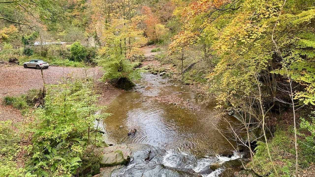 Shaded woodland and cascading water on the Falling Foss Waterfall walk, part of North Yorkshire circular walks.