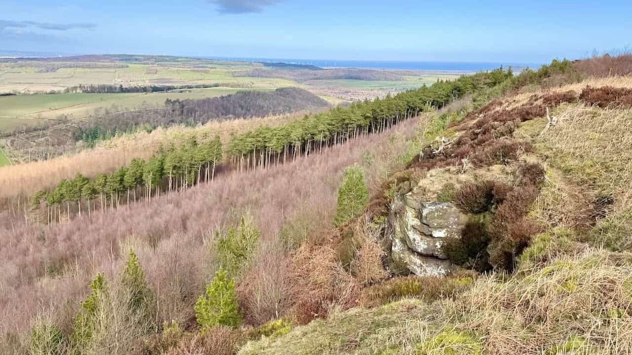 Forest tracks and open moorland scenery on the Guisborough Forest walk.