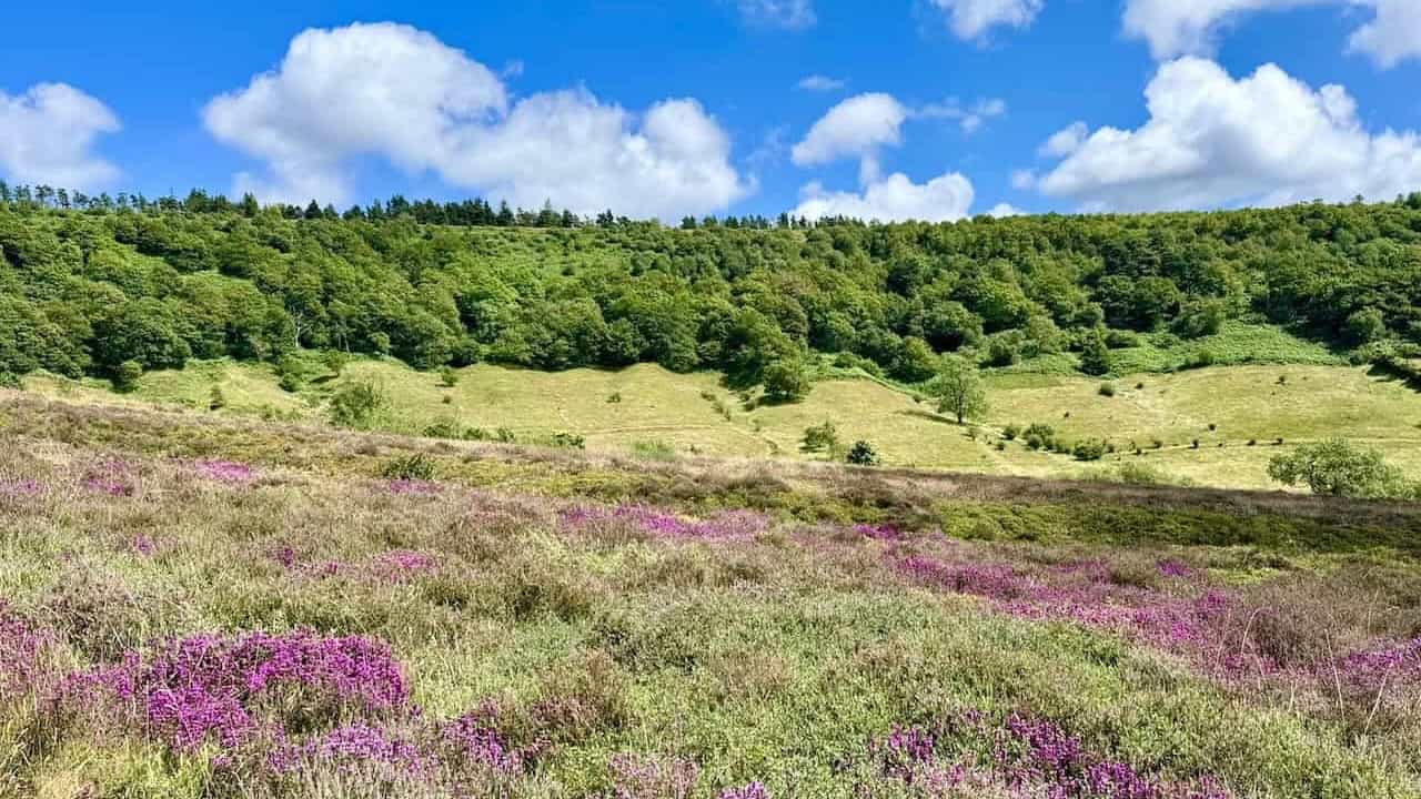 Expansive views across the natural amphitheatre on the Hole of Horcum Circular walk.