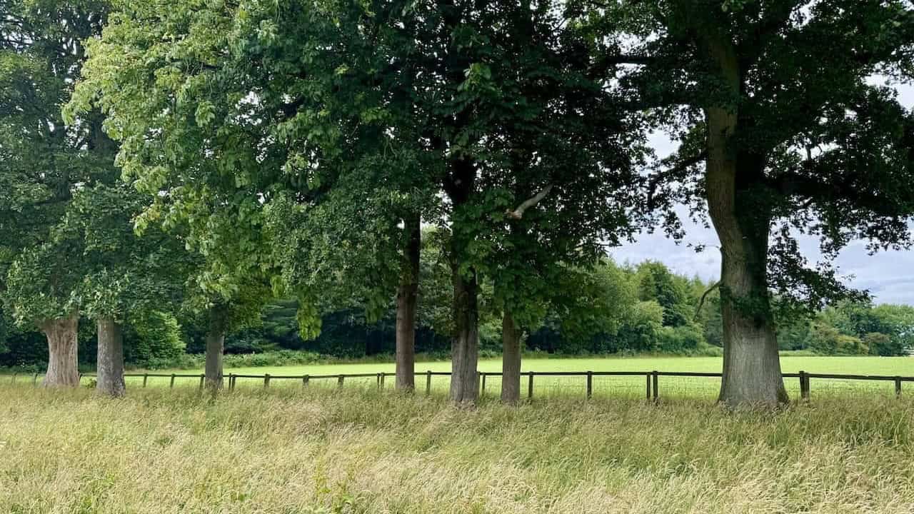Stone cottages and rolling countryside on the Hutton-le-Hole walk via Lastingham.
