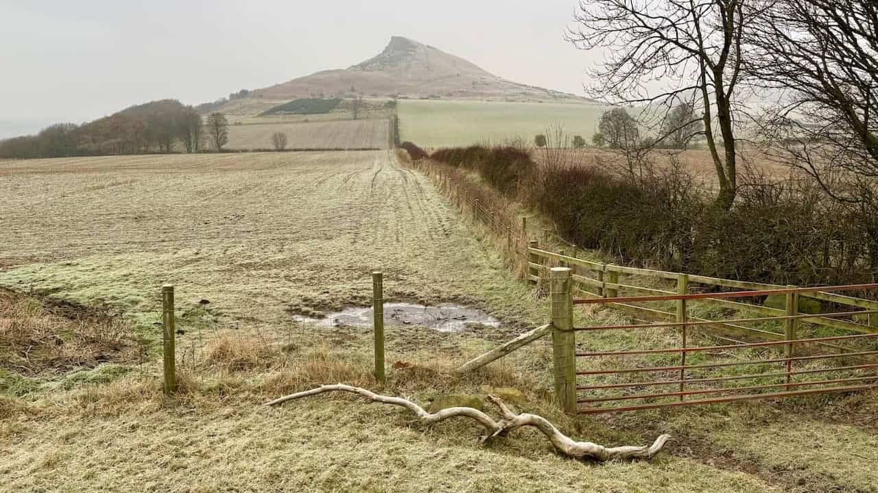 Iconic summit and surrounding moorland on the Roseberry Topping walk, part of North Yorkshire circular walks.