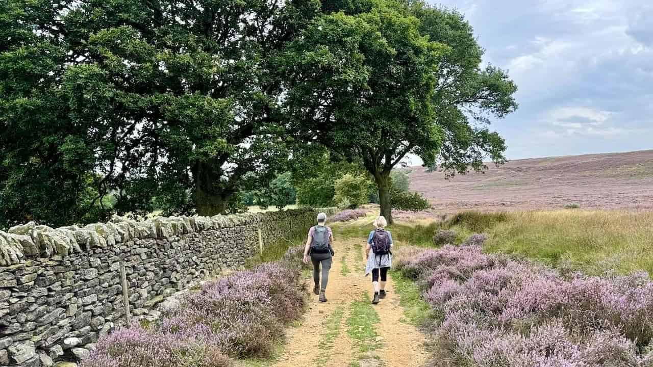 Moorland crossings and dale views on the Rosedale Abbey walk via Lastingham.