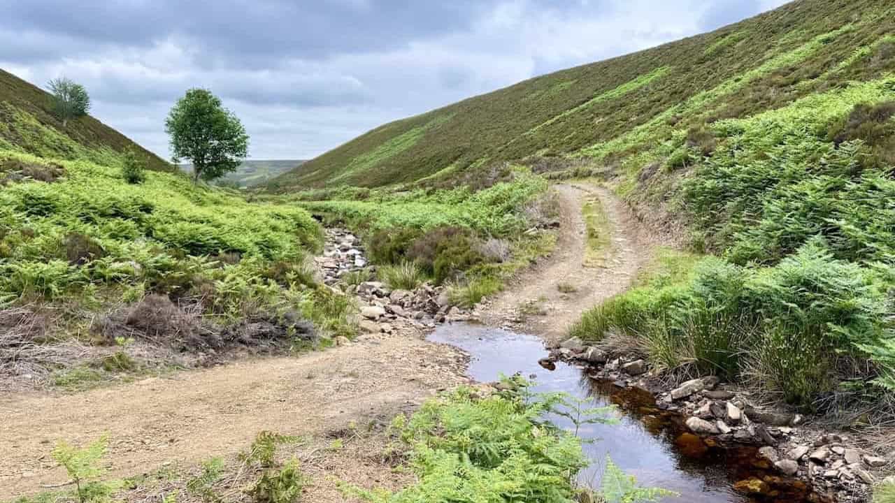 Moorland edges and woodland trails on the Yorkshire Moors walk near Masham.
