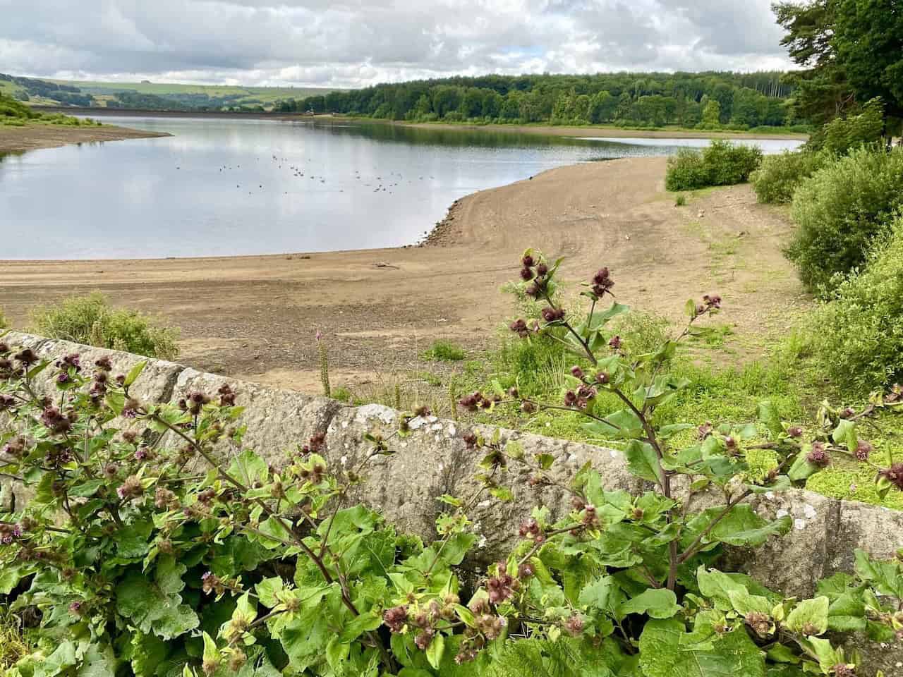 View south from Swinsty causeway towards Swinsty Embankment.