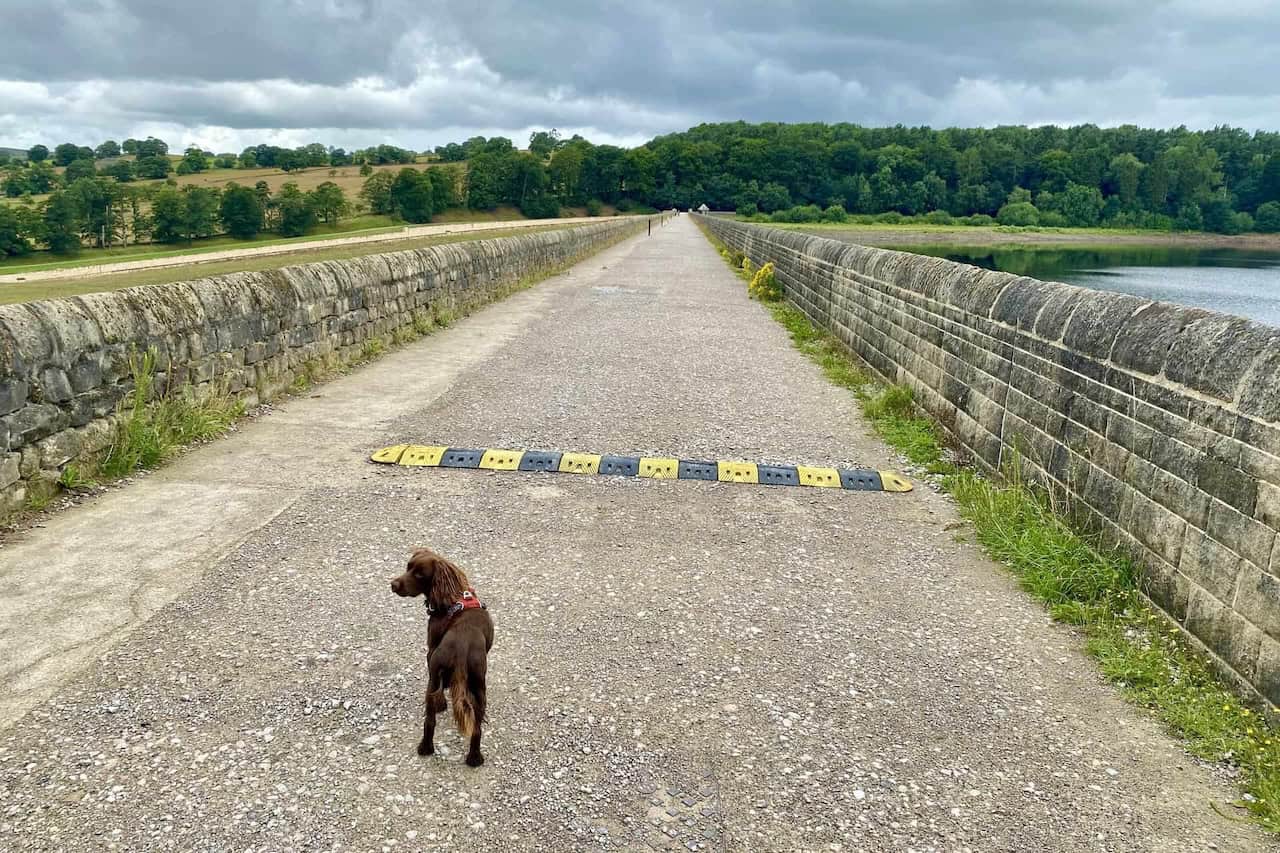 Pedestrian crossing on Swinsty Embankment.