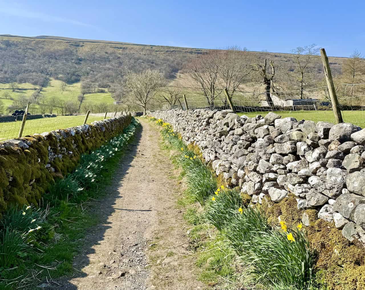 Path leading to the footbridge over the River Wharfe.