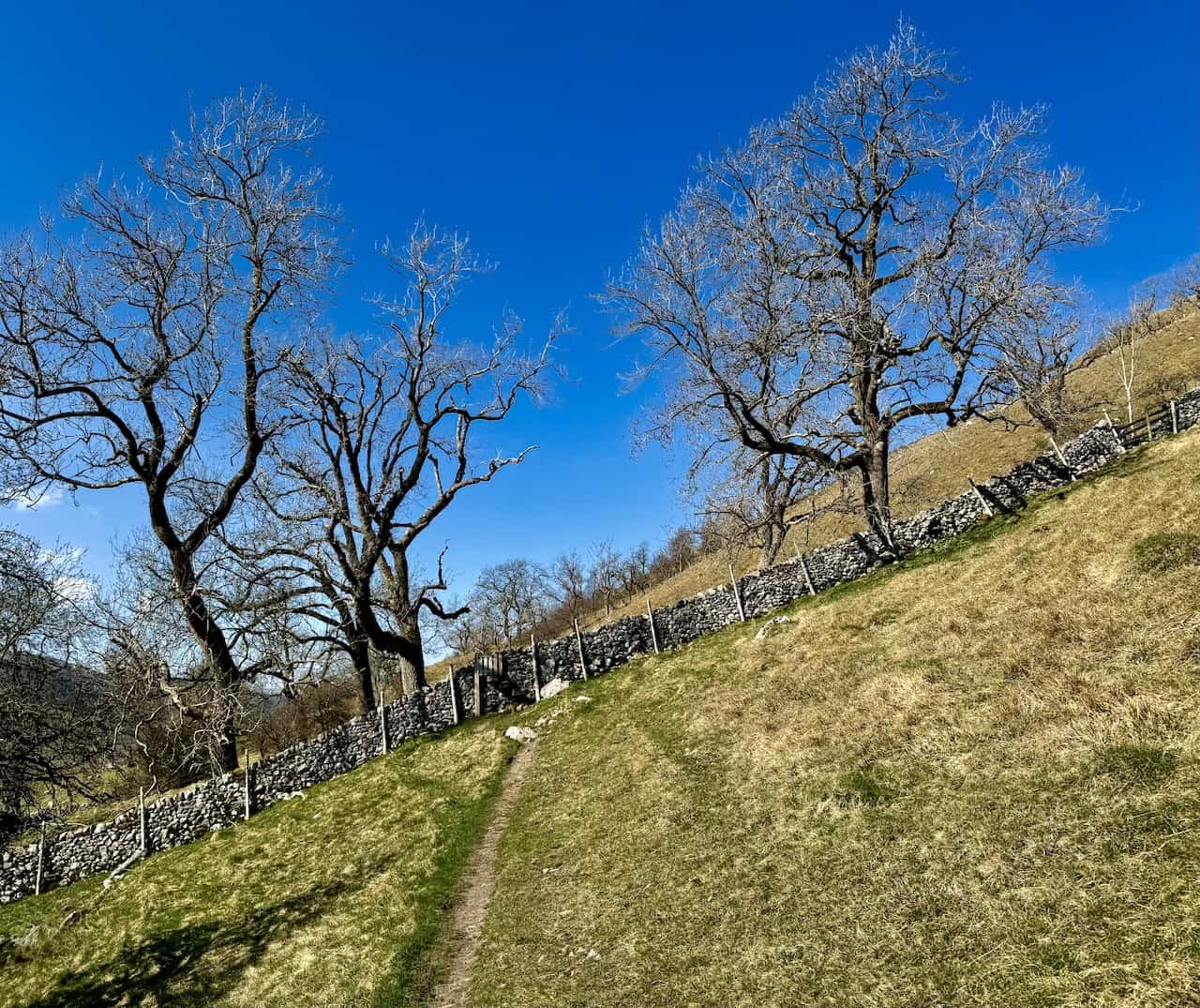 Steep slopes beneath Cam Pasture on the way to Starbotton during walks in Wharfedale.