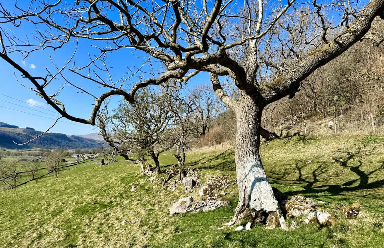 Hillside path between Kettlewell and Starbotton on scenic walks in Wharfedale.