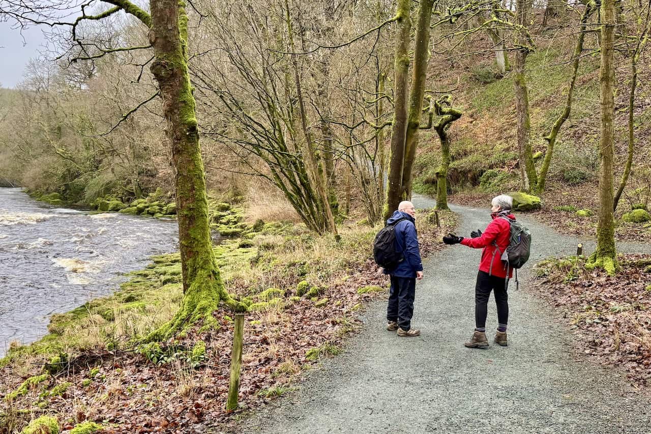 South-western bank footpath beside the River Wharfe near Barden Bridge.