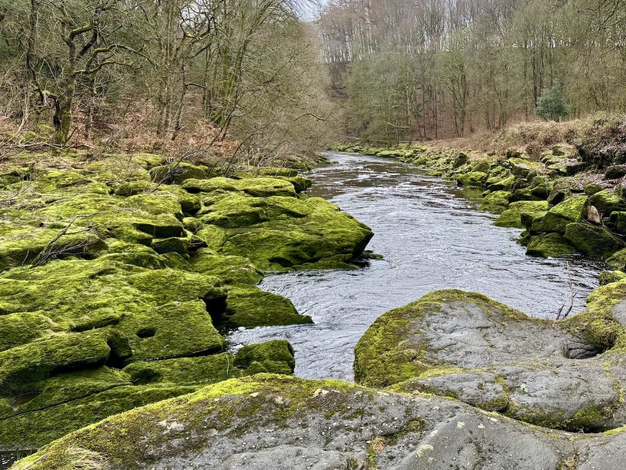 Fast-flowing water at The Strid on the Barden Bridge walk.