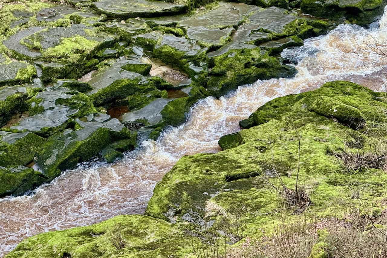 The Strid seen from the opposite side on the Barden Bridge walk.