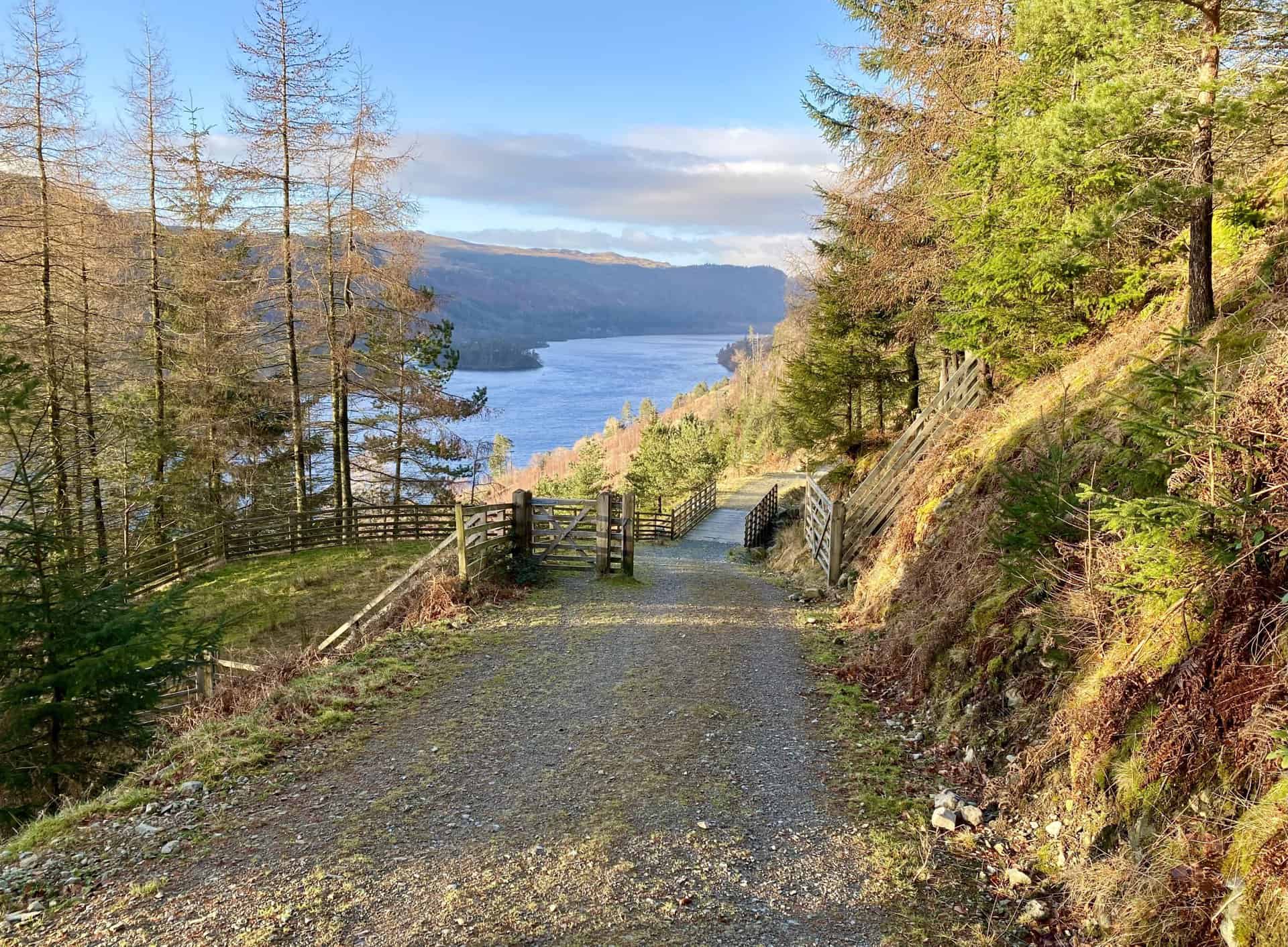Forestry track beneath Helvellyn’s western slopes with Thirlmere views.