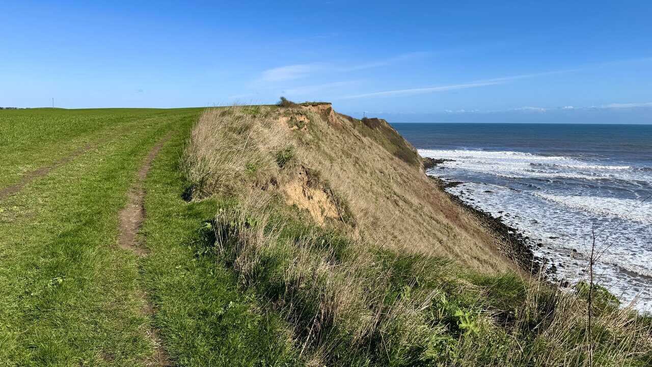 Narrow clifftop path along open farmland, with sandy clay cliffs dropping to the rocky shore below on the Cleveland Way and King Charles III England Coast Path.
