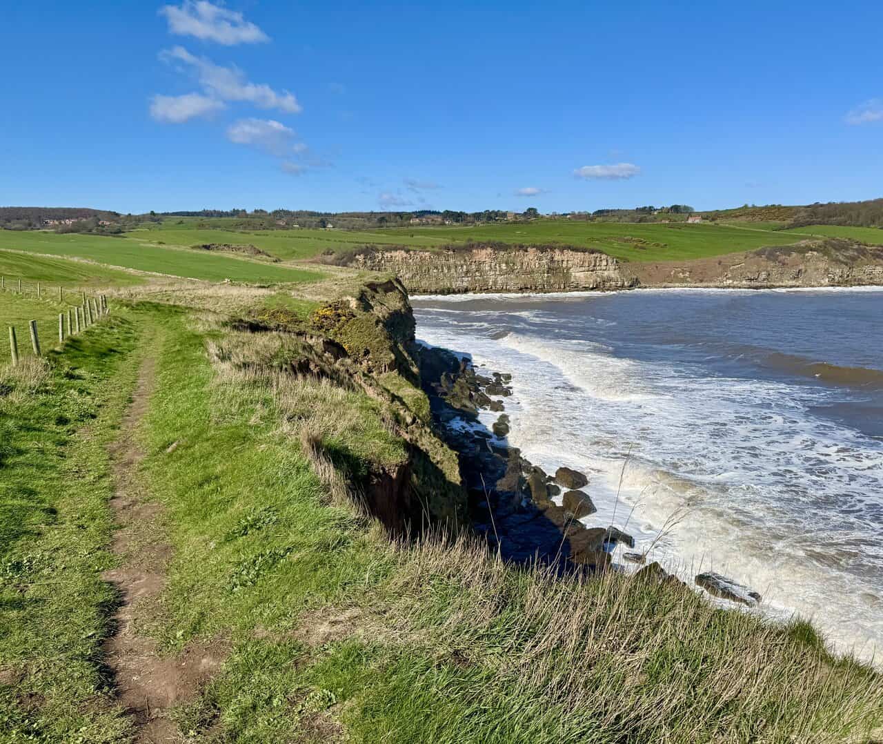 Clifftop section of the Cloughton Wyke walk following the Cleveland Way, with the banded rock faces of Cloughton Wyke drawing closer across the bay.