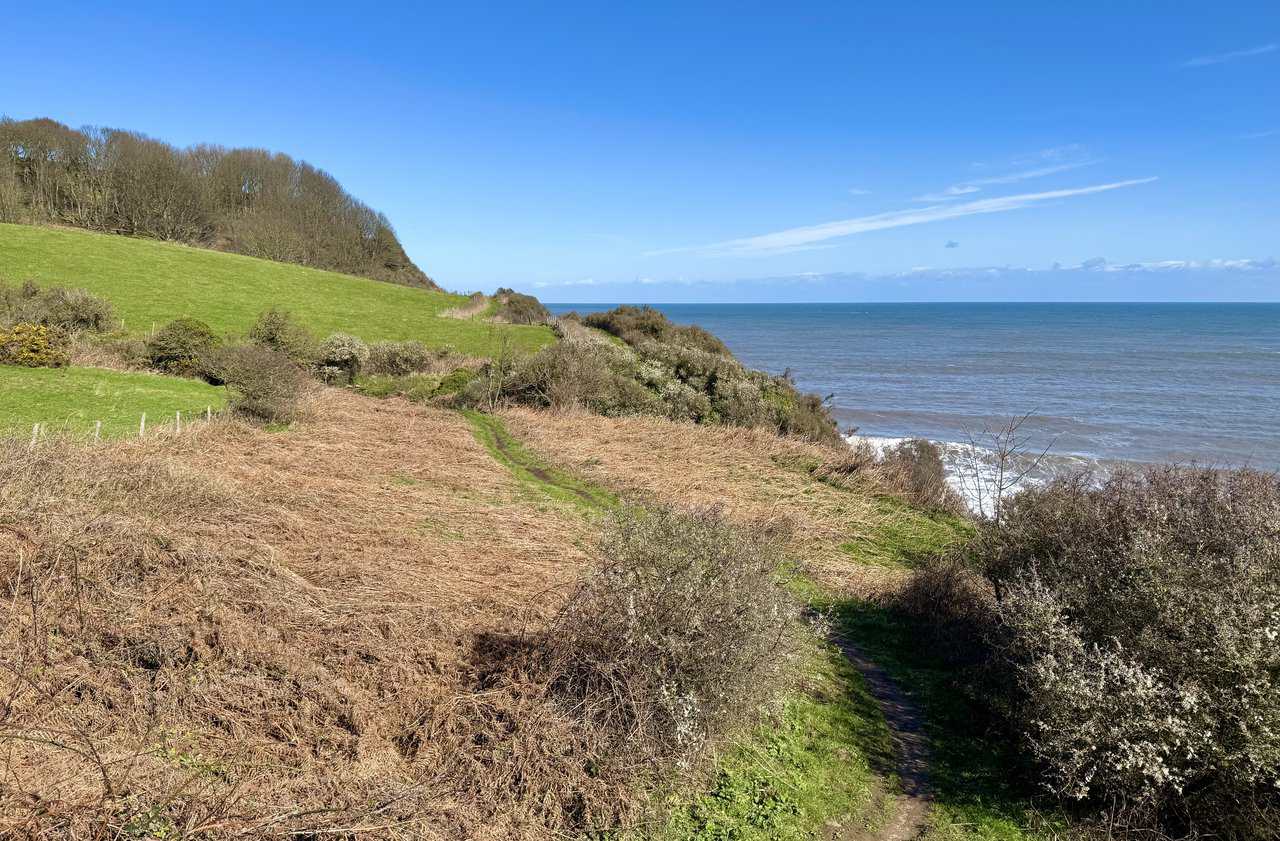 Path north of Cloughton Wyke above Salt Pans, winding through bracken and scrub with calm sea below.