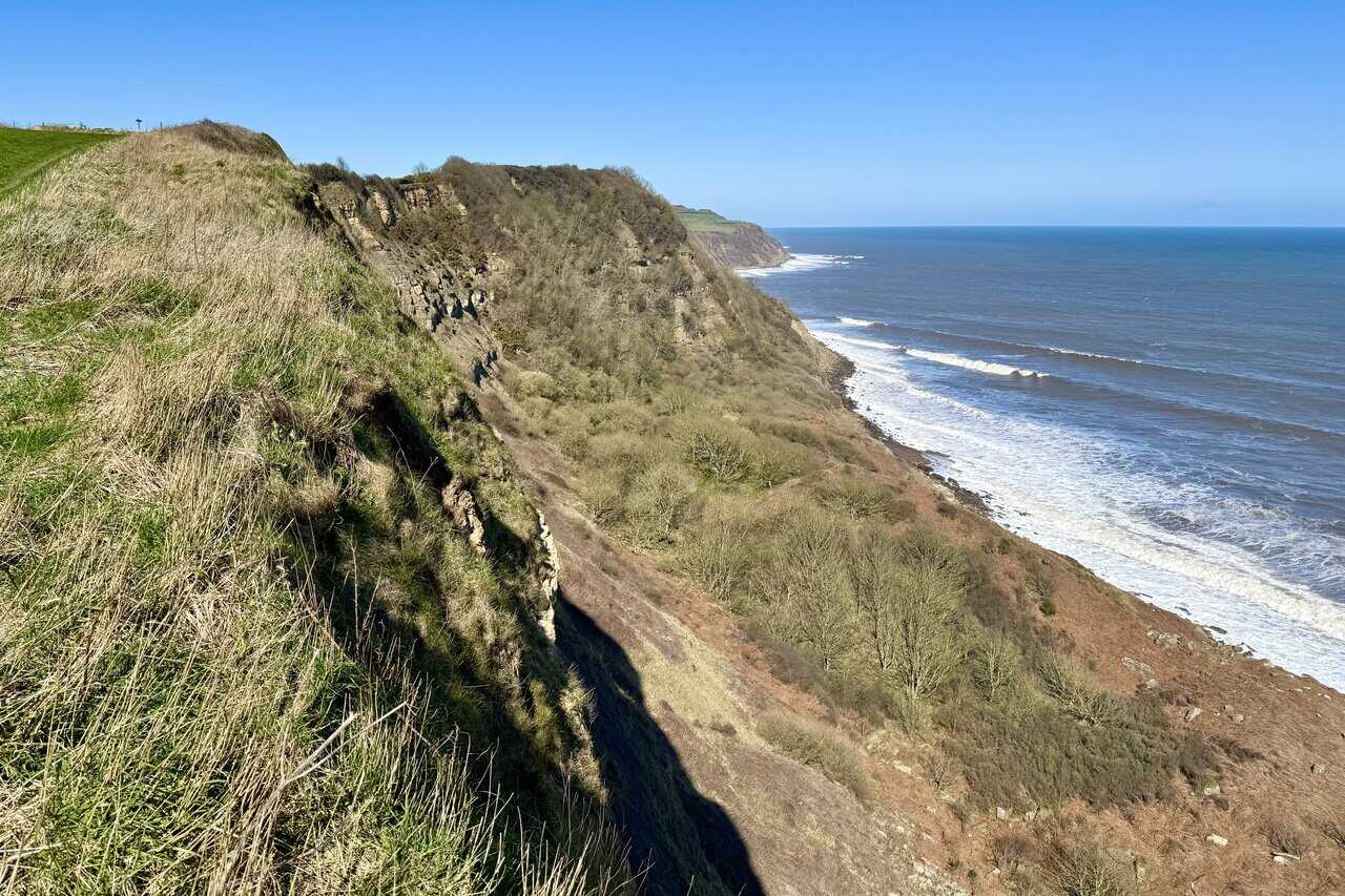 Sweeping coastal view on the Cloughton Wyke walk, with dramatic rock faces, scattered trees and scrub, and the shoreline curving gently into the distance.