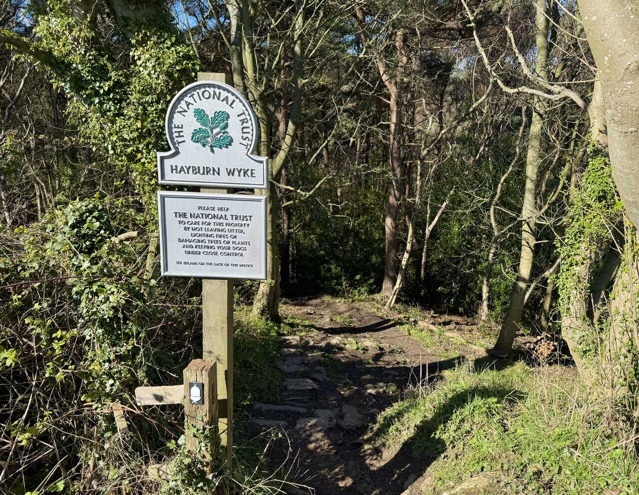 National Trust sign at the entrance to Hayburn Wyke woodland, where the open clifftop path drops into shaded trees.