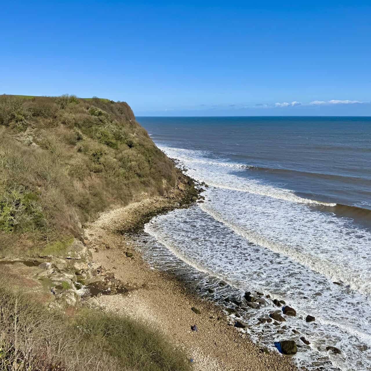 First full view of Hayburn Wyke from the woodland path, with a rocky beach below and steep wooded cliffs rising to green fields.