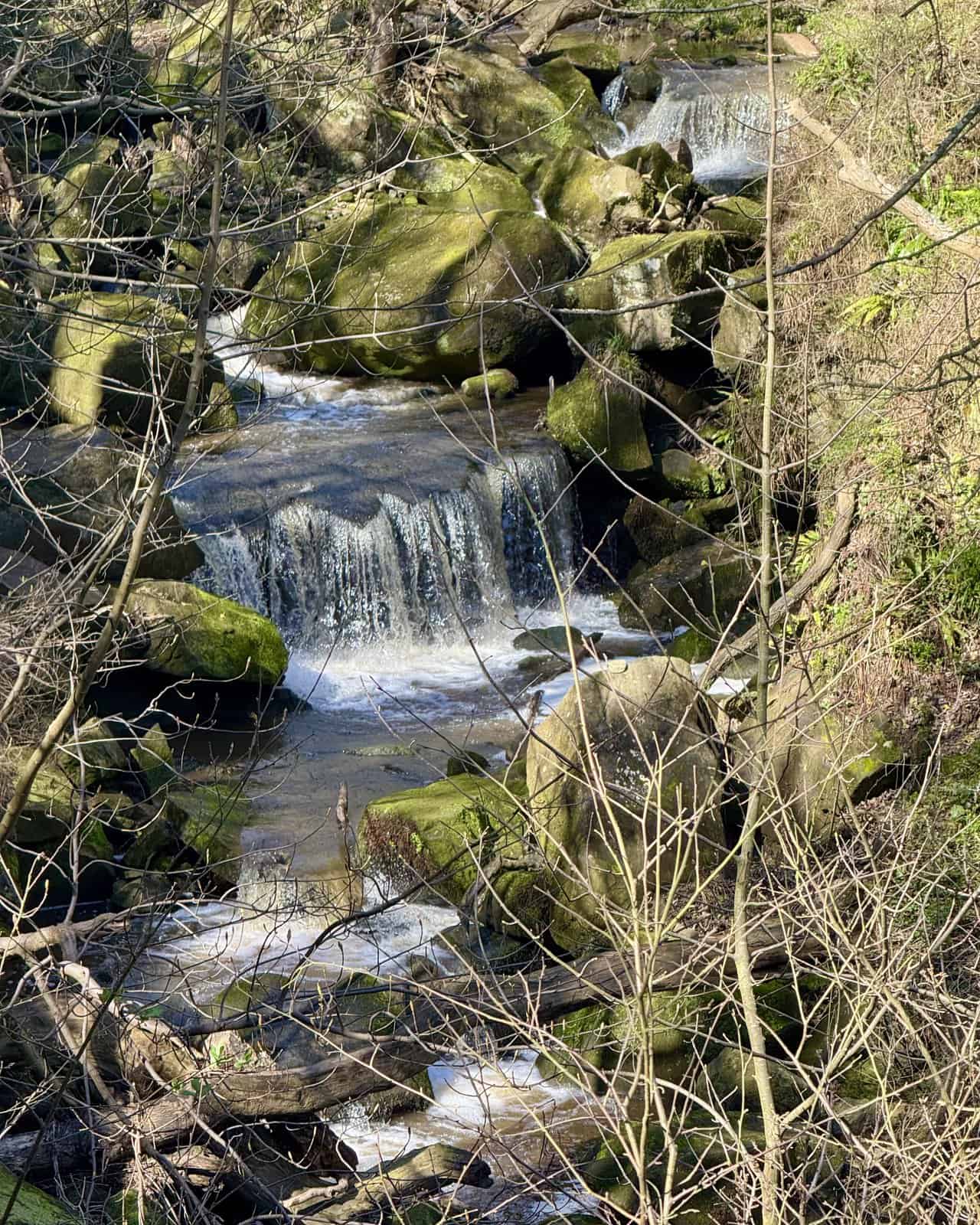 Hayburn Beck waterfall tumbling over mossy rocks through woodland, with light catching the water between banks of green stone.