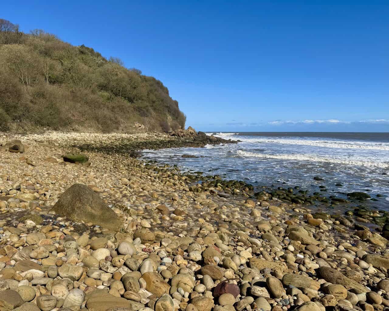 Pebble and boulder beach at Hayburn Wyke on the Cloughton Wyke walk, enclosed by steep wooded cliffs in a secluded coastal cove.